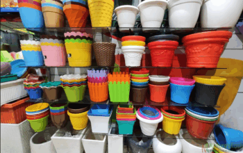 Plastic Pots in West Patel Nagar – Bagga Planter
